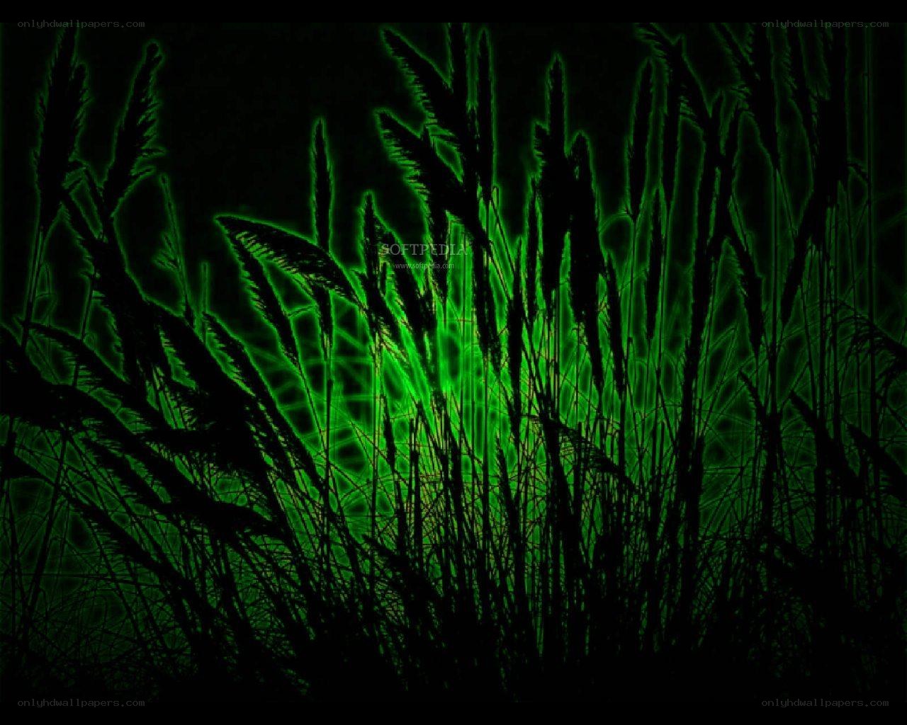 glowing green grass silhouette
