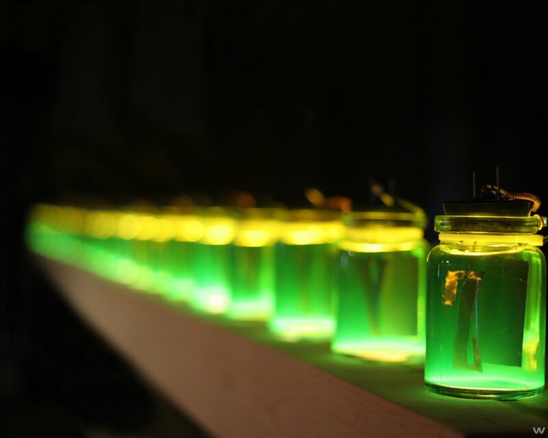 glowing green jars in a row