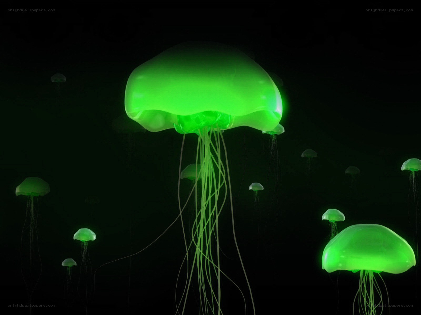 glowing green jellyfish