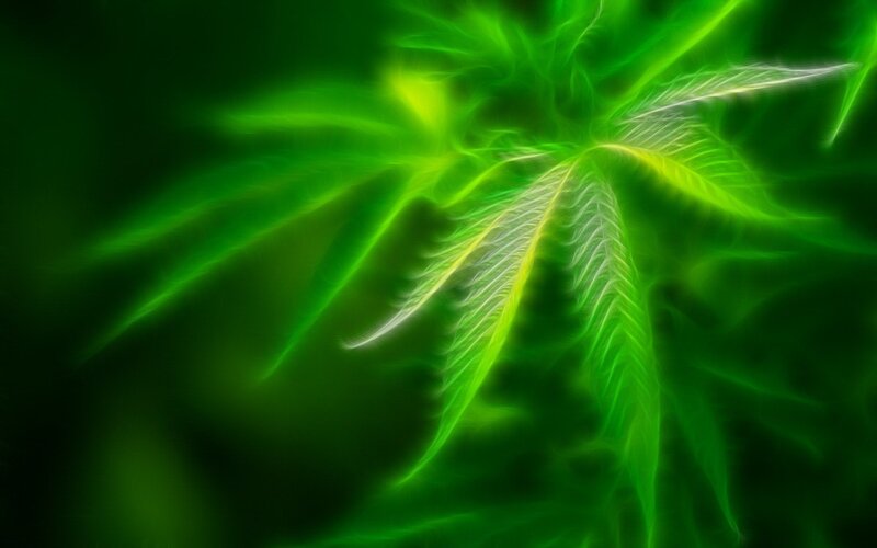 glowing green leaf design