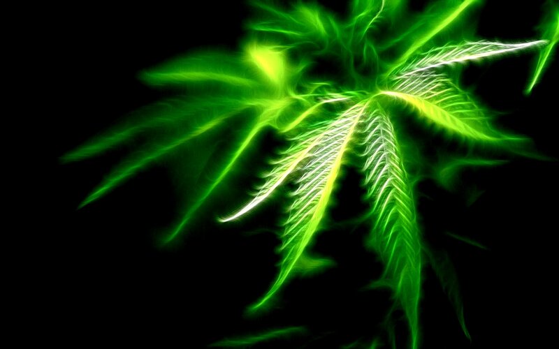 glowing green leaf design