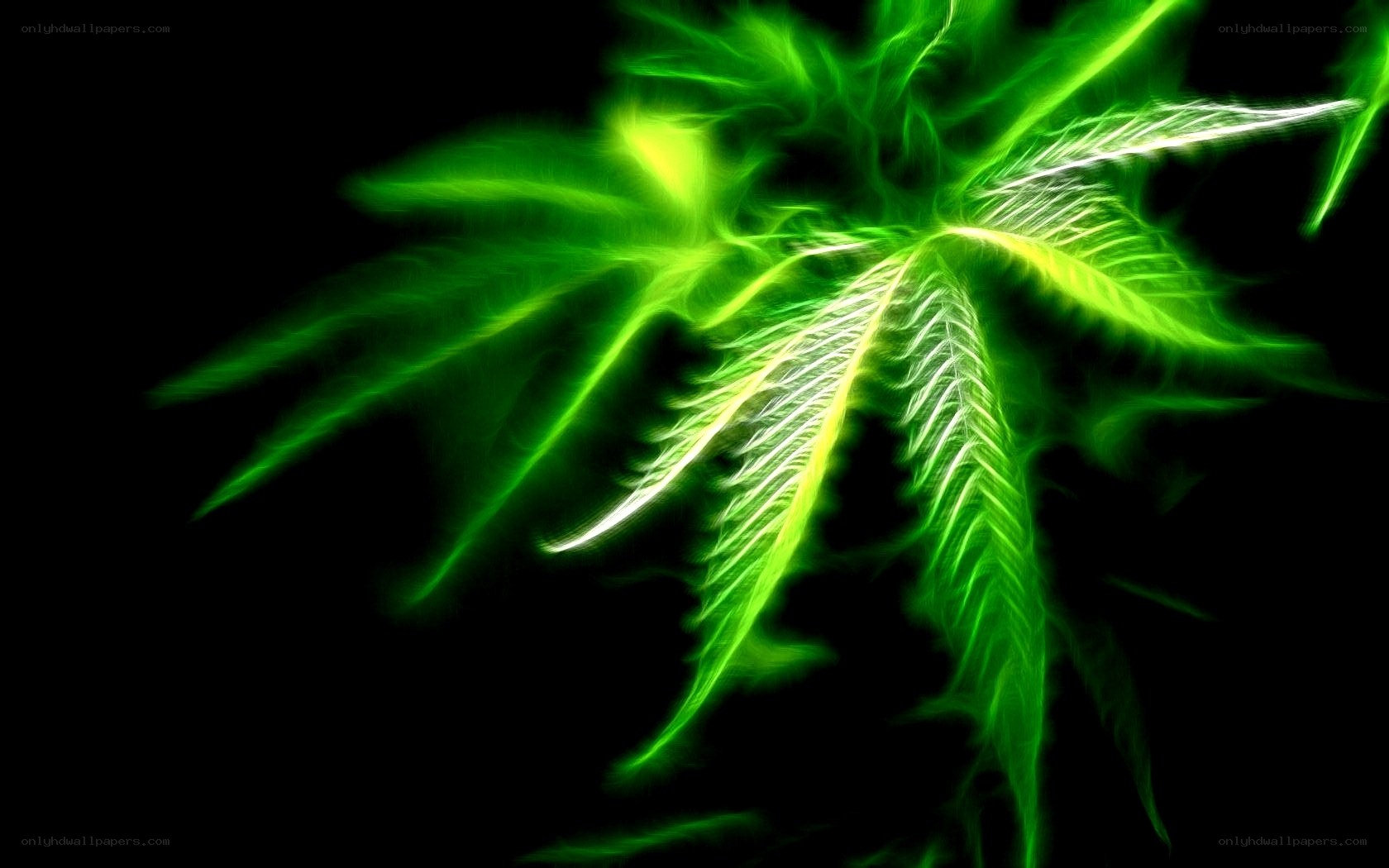 glowing green leaf design