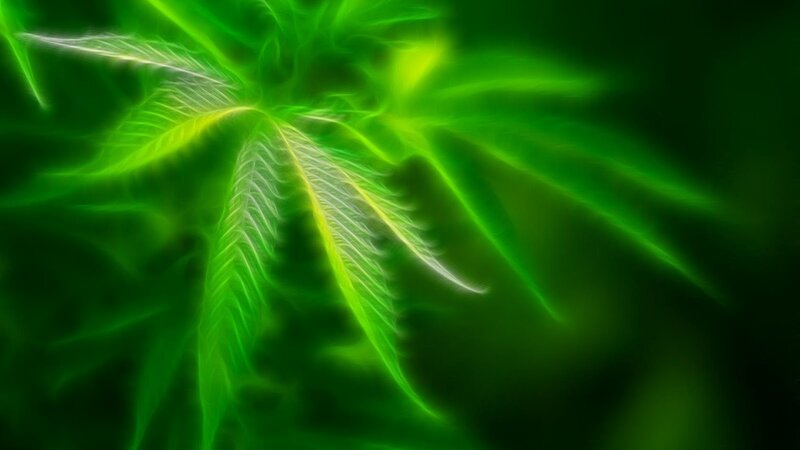 glowing green leaf design
