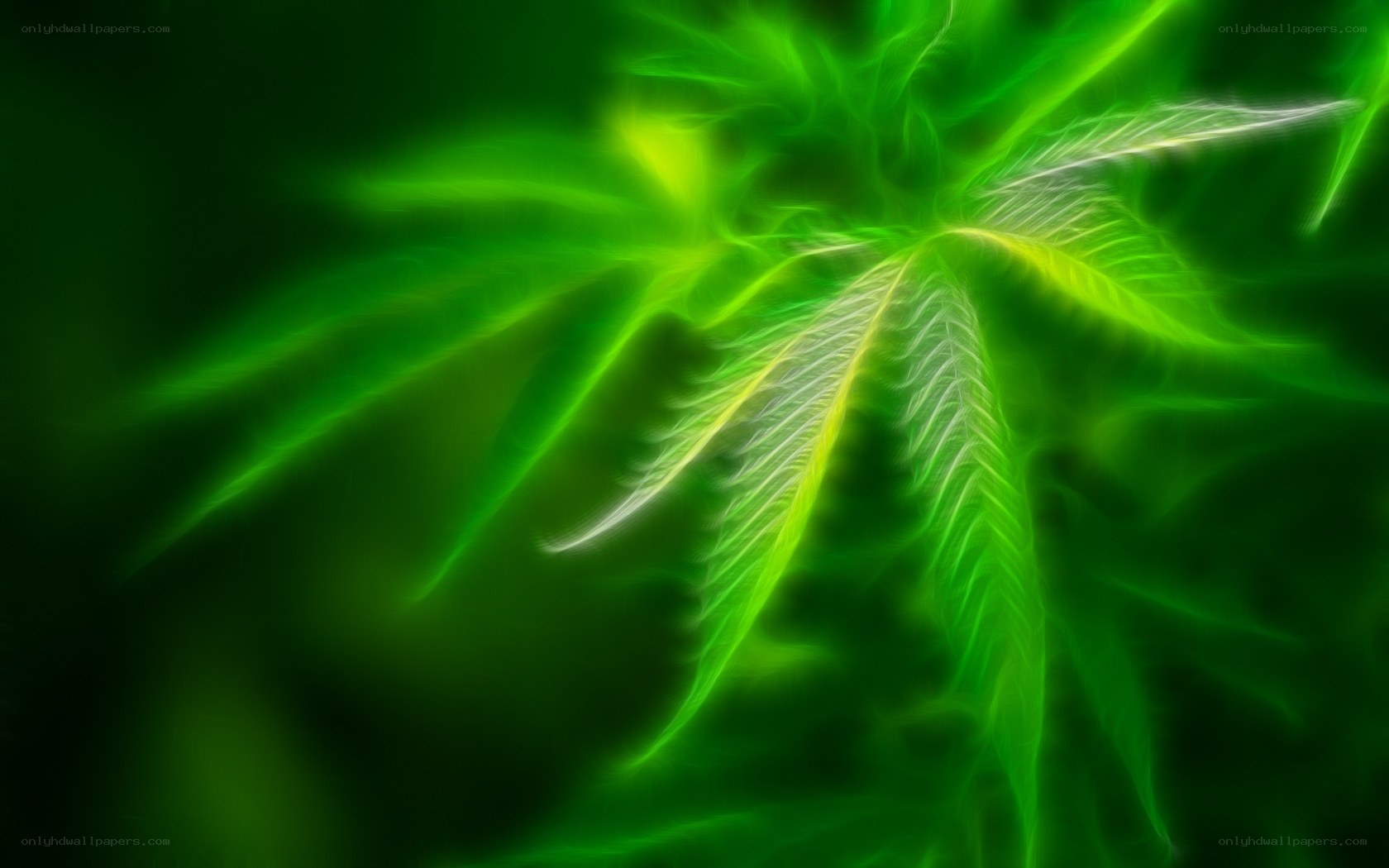 glowing green leaf design