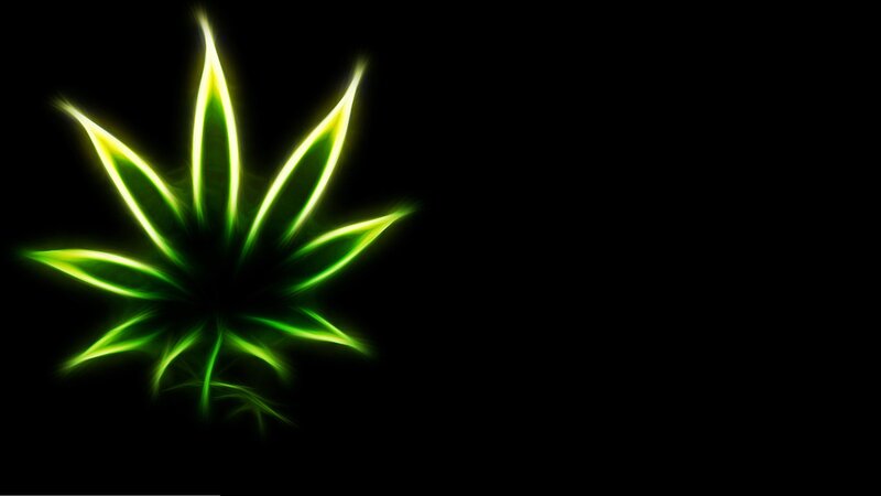 Glowing Green Leaf — Dramatic