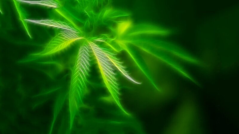 Glowing Green Leaf — Ethereal, Digital Art, Yellow