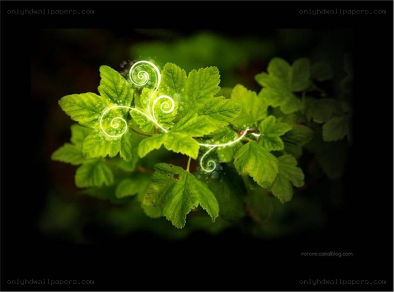 glowing green leaves