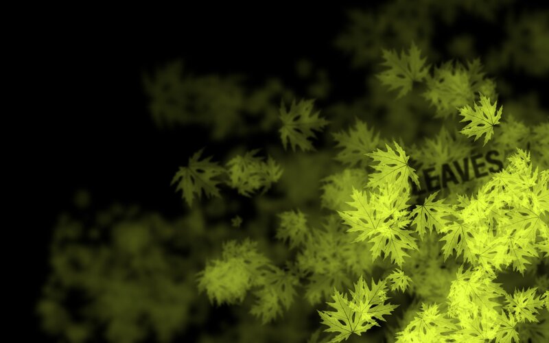 Glowing Green Leaves — Dramatic