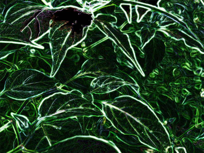 Glowing Green Leaves — Neon