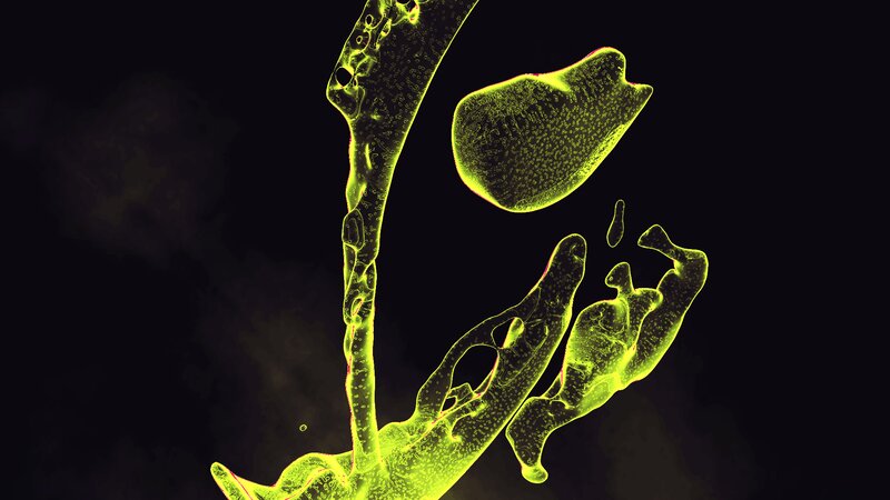Glowing Green Microorganisms — Yellow