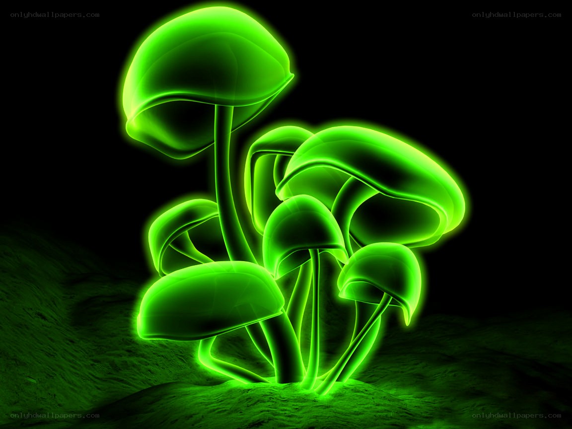 glowing green mushrooms