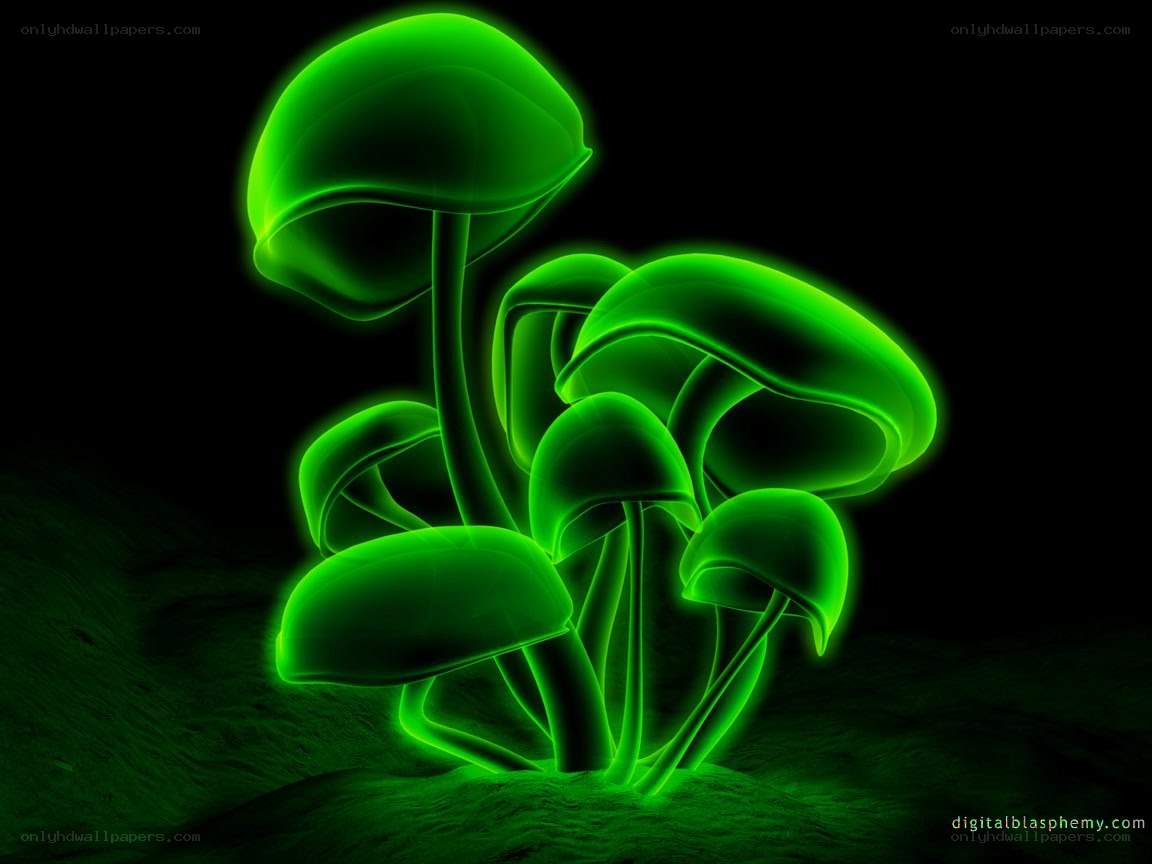 glowing green mushrooms