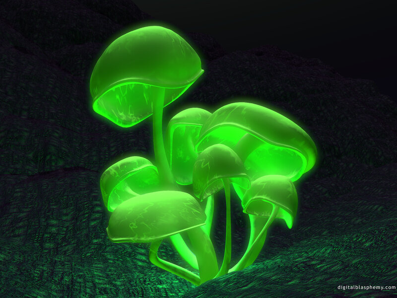 glowing green mushrooms