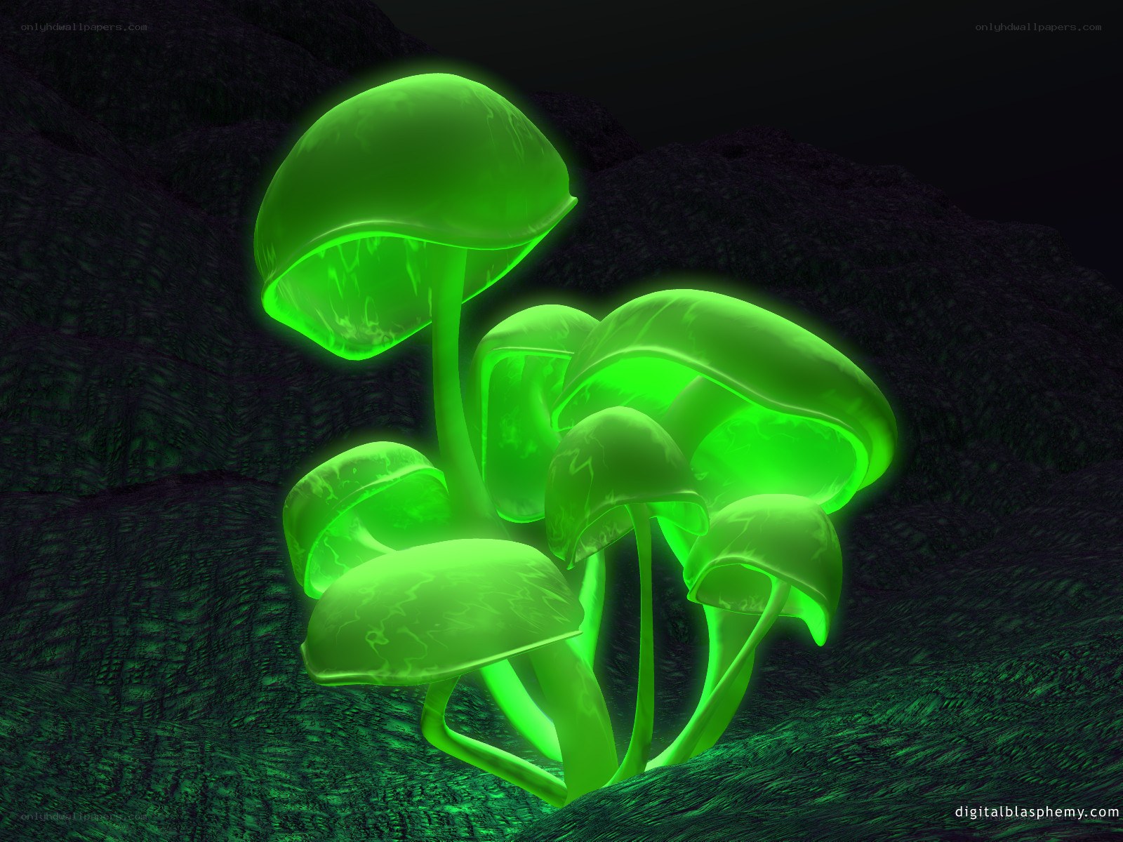 glowing green mushrooms