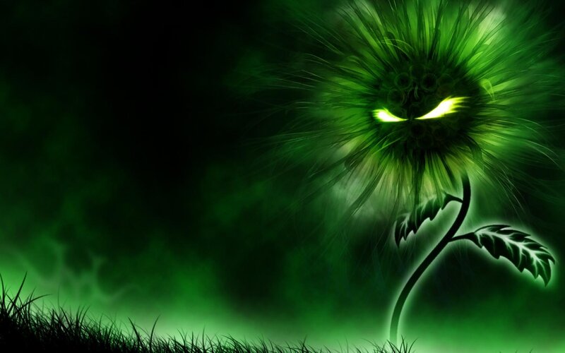Glowing Green Plant — Dark, Night