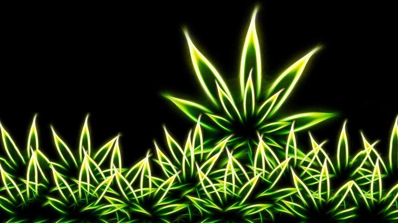 glowing green plant leaves