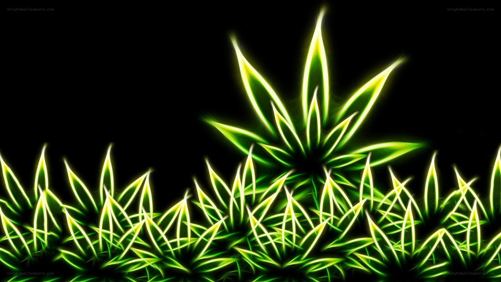 glowing green plant leaves
