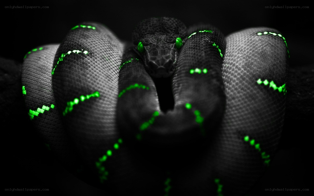 glowing green snake coiled