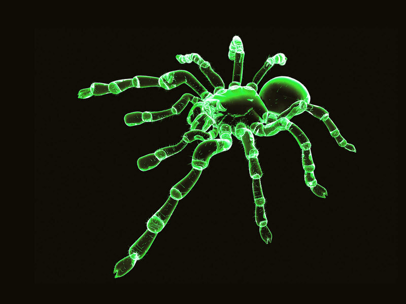 glowing green spider