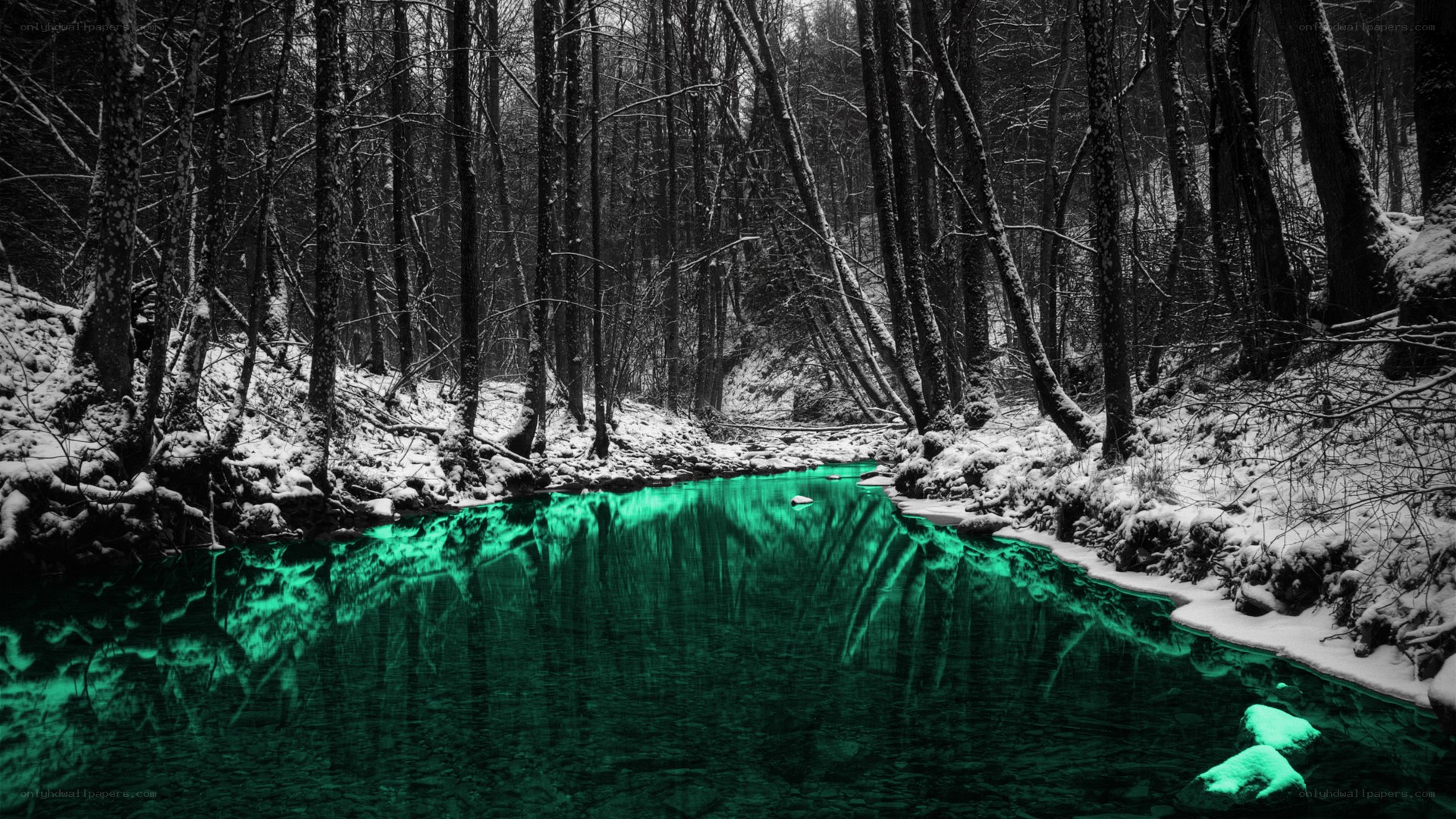 glowing green stream in snowy forest