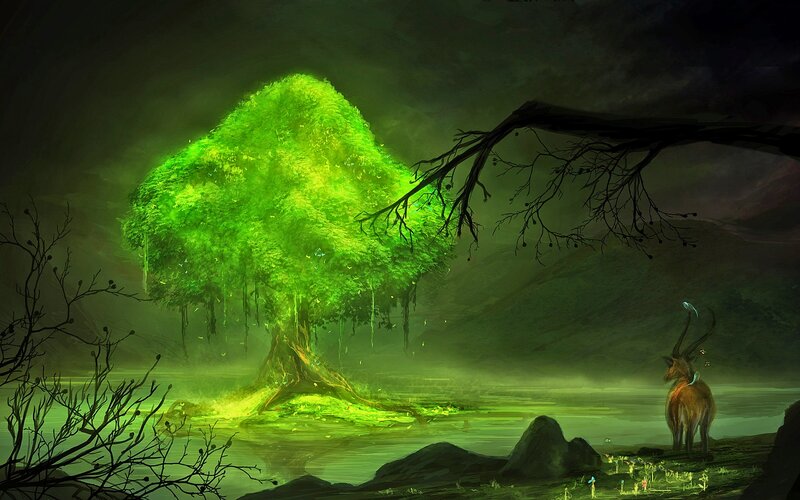 Glowing Green Tree — Mystical, Night