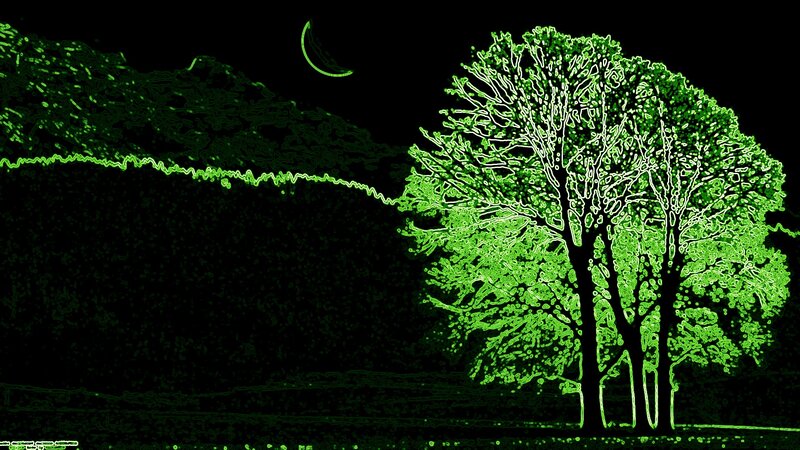 Glowing Green Tree — Serene, Night