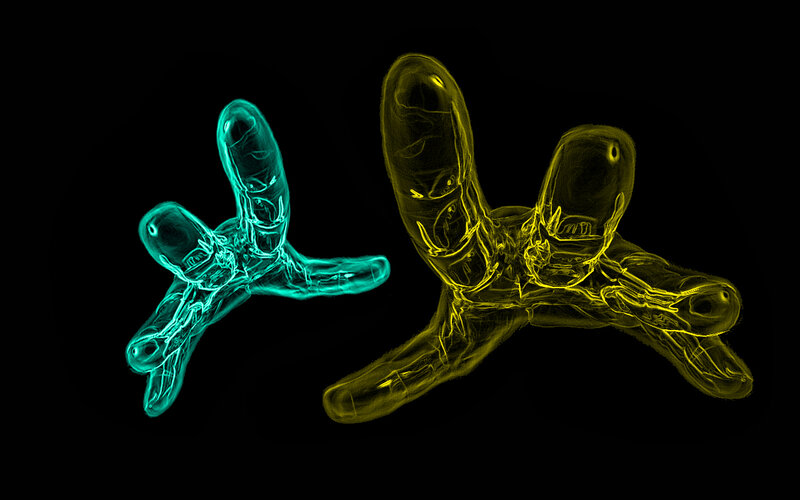 glowing hand sculptures