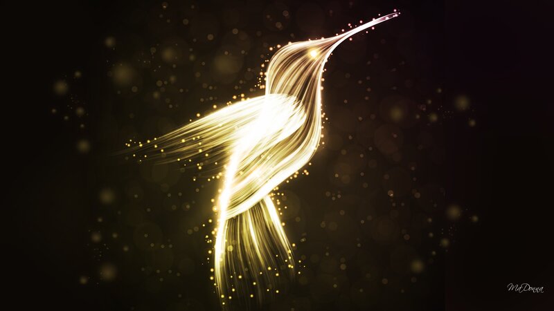 Glowing Hummingbird