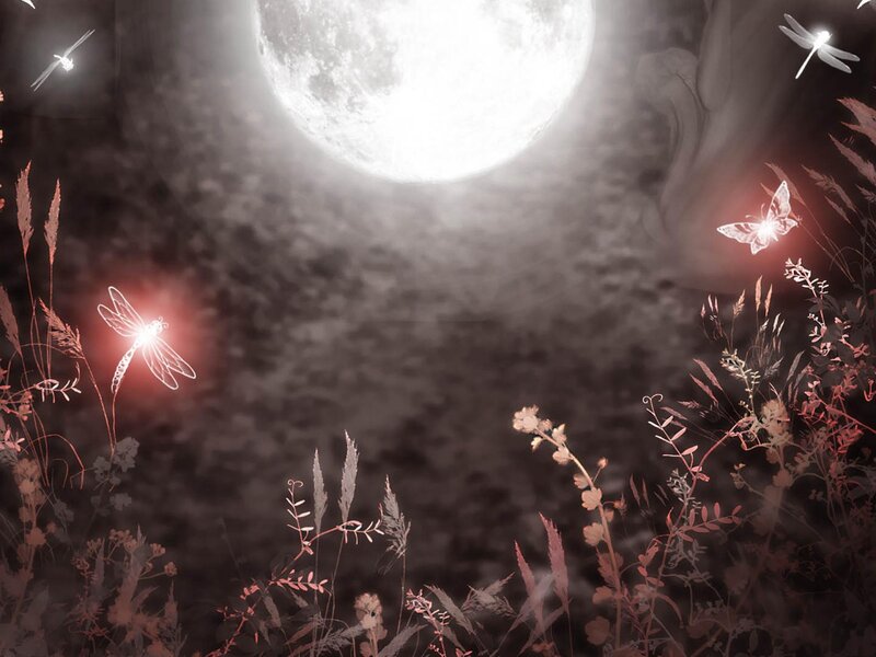 Glowing Insects in Field — Black, Serene