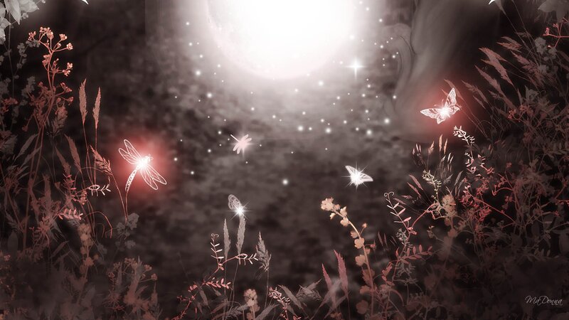 Glowing Insects in Field — Black