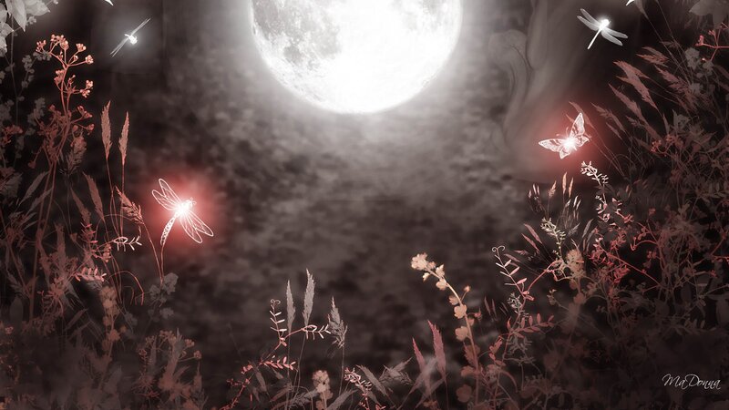 Glowing Insects in Field