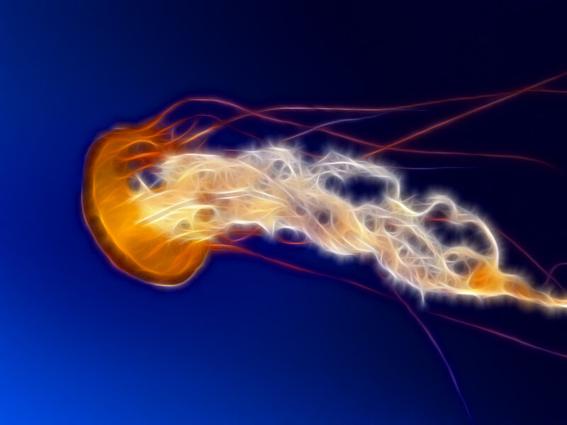 Glowing Jellyfish — Blue, Serene, Digital Art