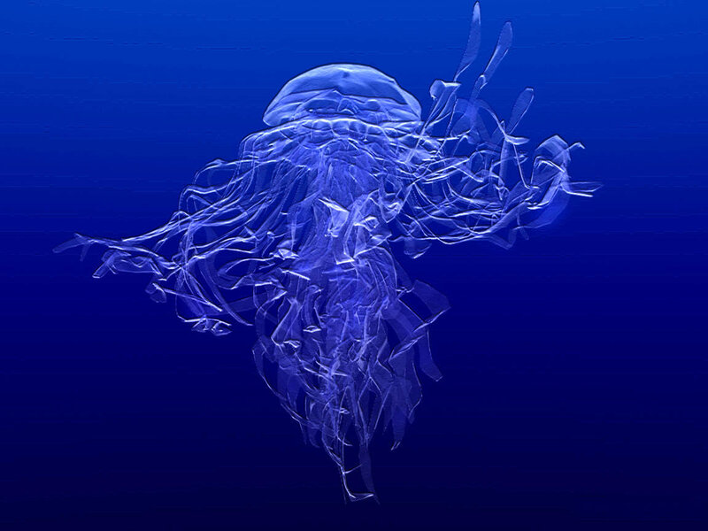 glowing jellyfish in blue water