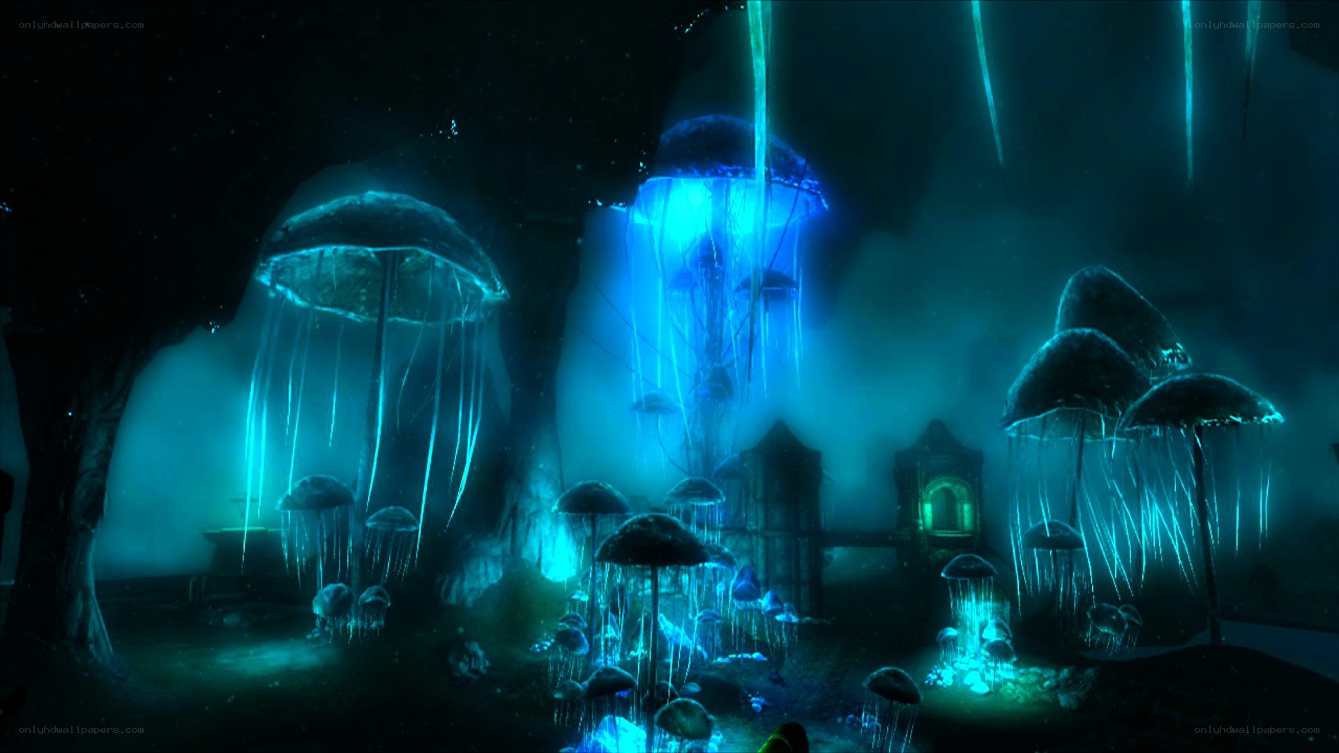 glowing jellyfish in dark cave