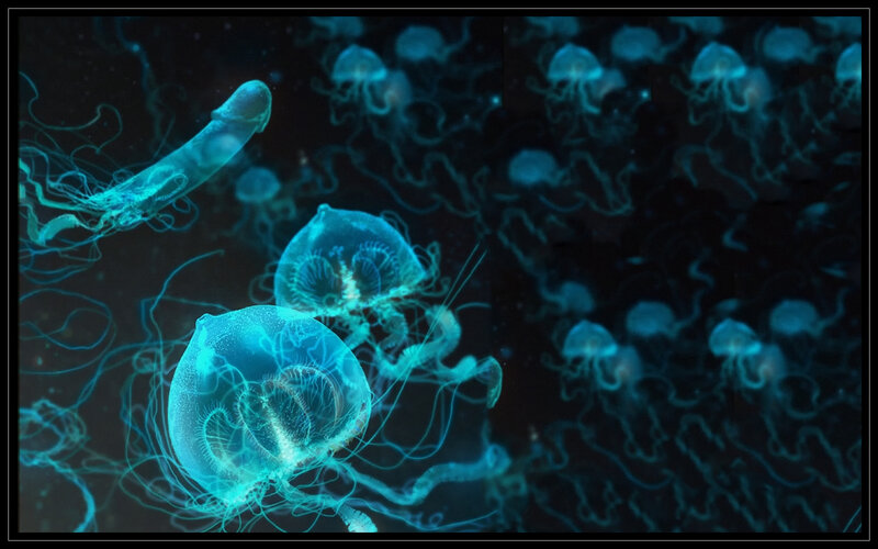 glowing jellyfish in dark water
