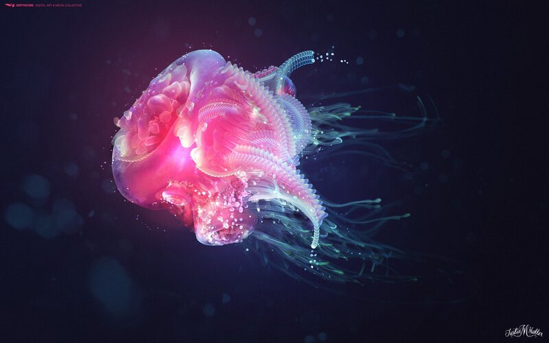 glowing jellyfish in dark water