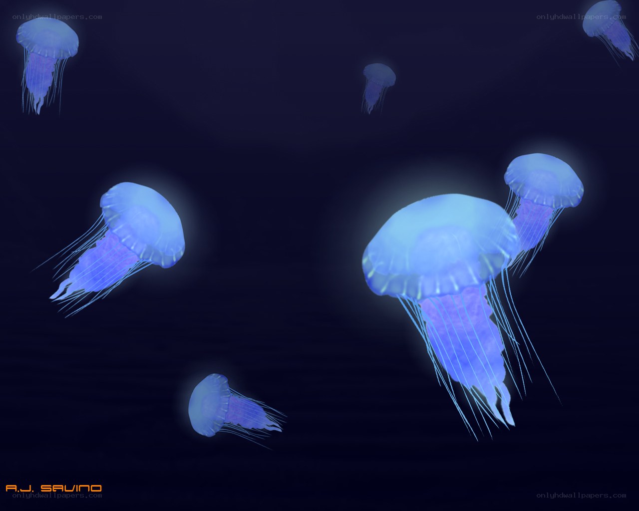 glowing jellyfish in dark water