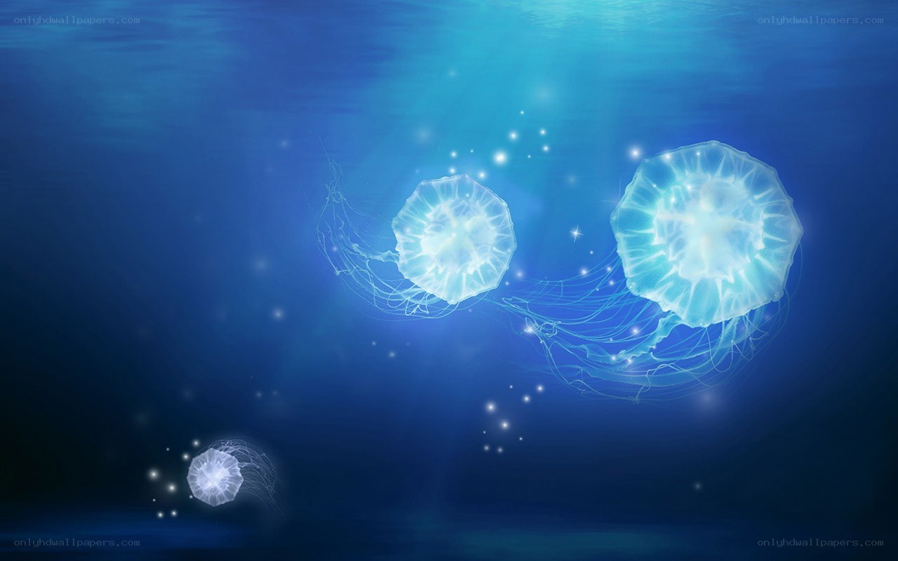 glowing jellyfish in deep blue water