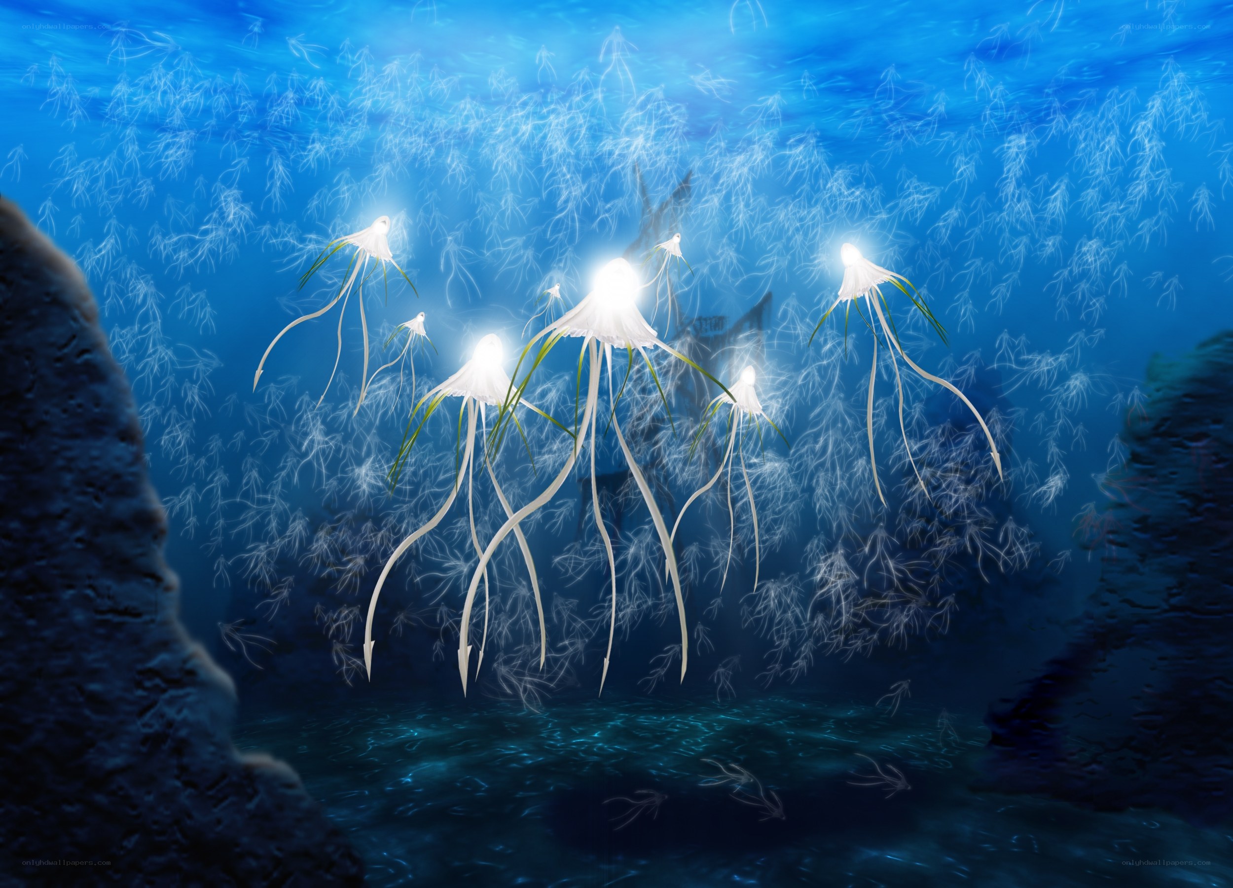 Glowing jellyfish in deep sea