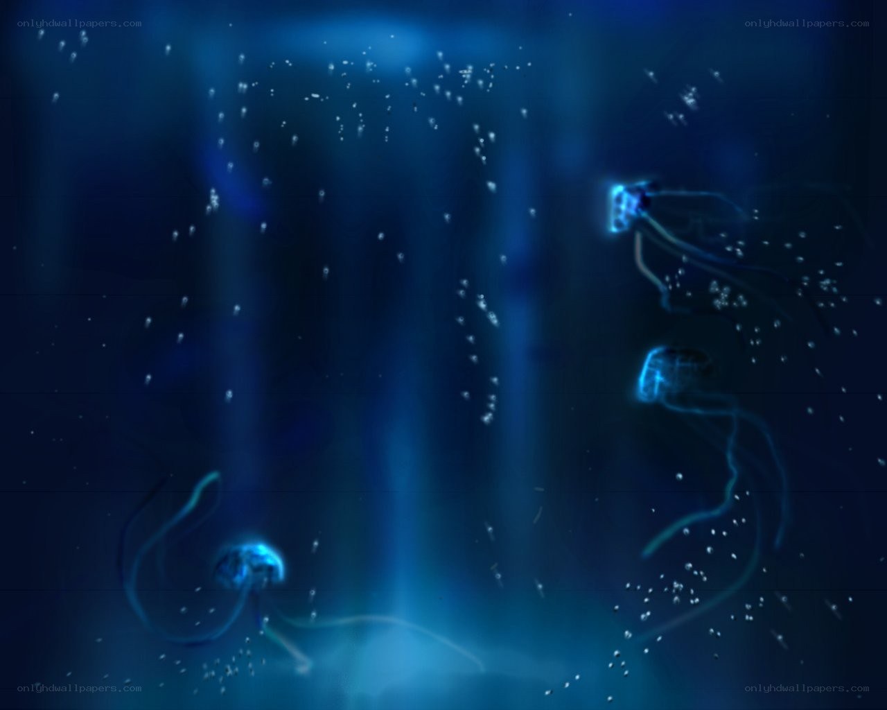 glowing jellyfish in deep water