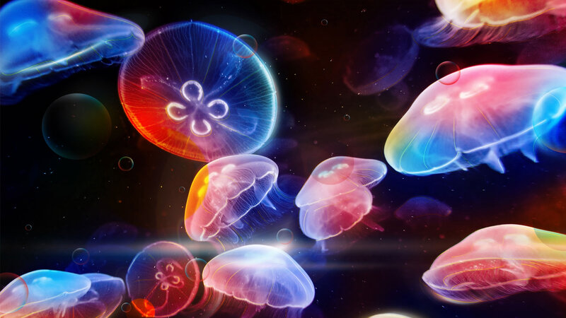 Glowing Jellyfish in Water — Blue, Ethereal