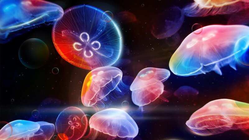 Glowing Jellyfish in Water — Blue, Serene, Digital Art, Bubbles