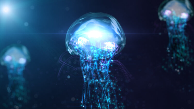 Glowing Jellyfish in Water — Blue, Serene, Night, Digital Art