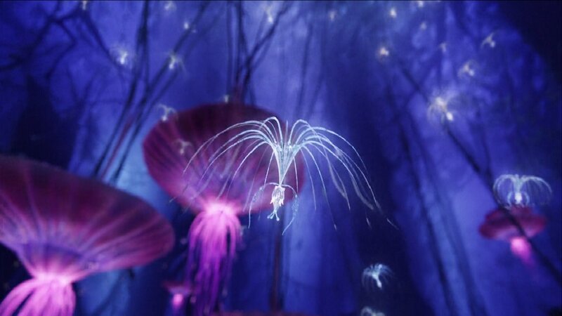 Glowing Jellyfish in Water — Blue, Serene, Night