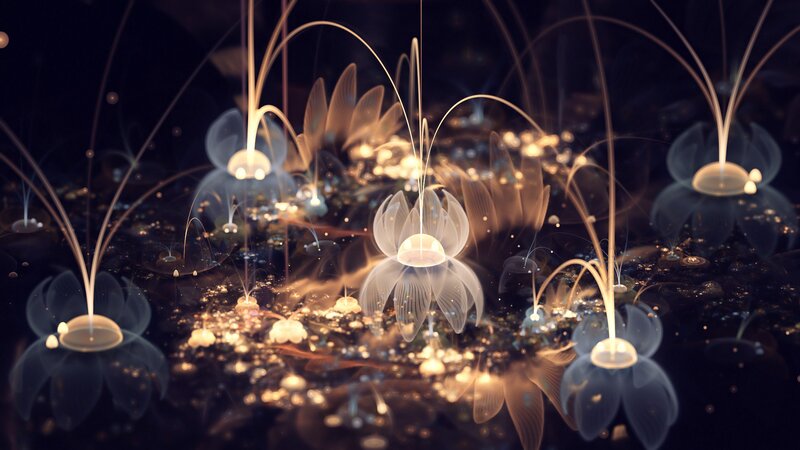 Glowing Jellyfish-like Flowers
