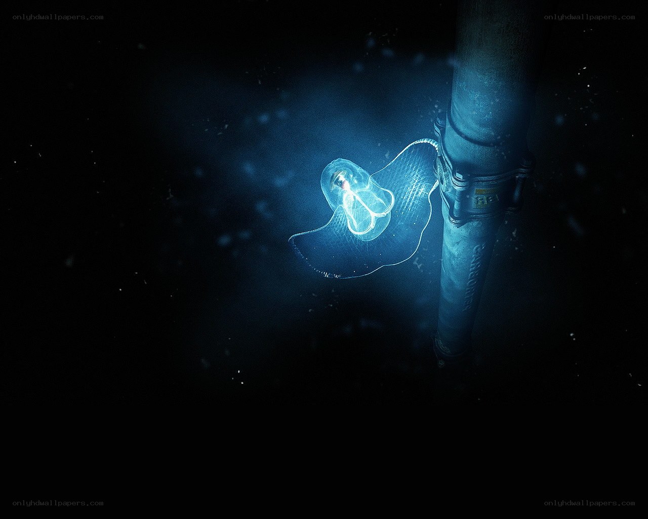 glowing jellyfish near pipe