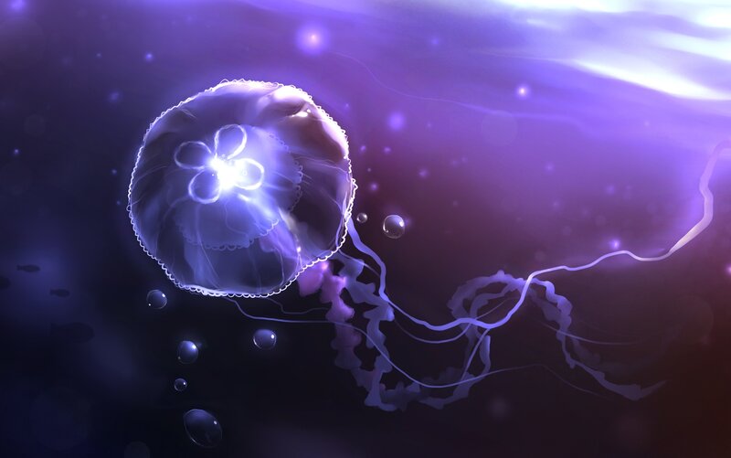 Glowing Jellyfish — Purple, Serene