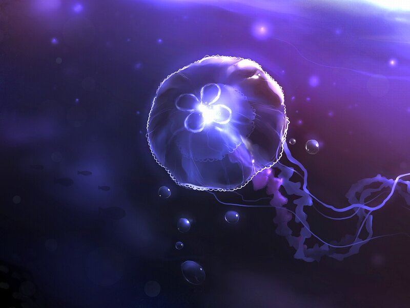 Glowing Jellyfish — Purple