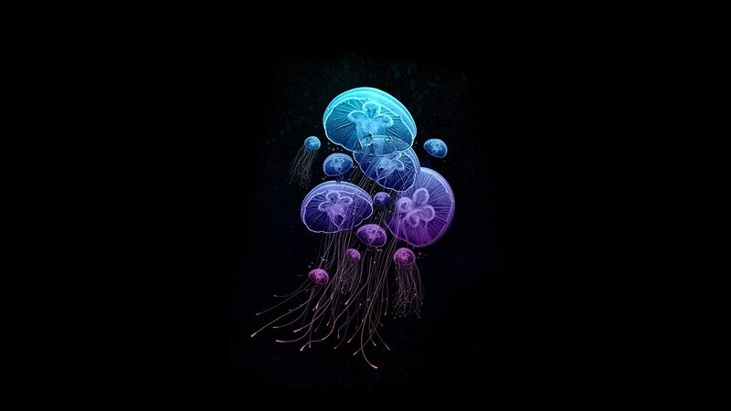 Glowing Jellyfish Swarm