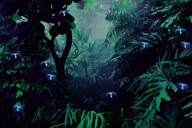 glowing jungle at night